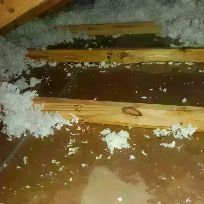 Attic Water Damage in Glen Lyon, PA